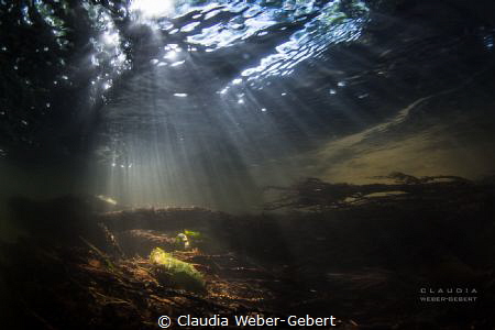 sunrays..... freshwater, River Nims in Germany by Claudia Weber-Gebert 