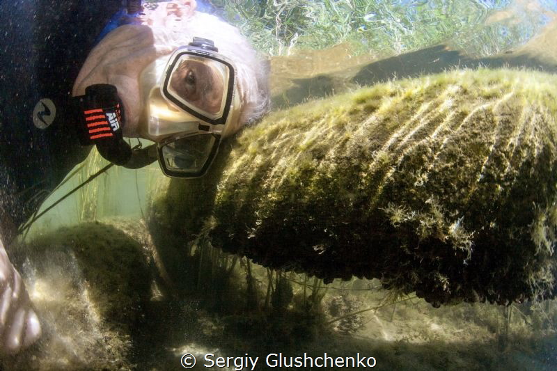 Proper selfie. by Sergiy Glushchenko 