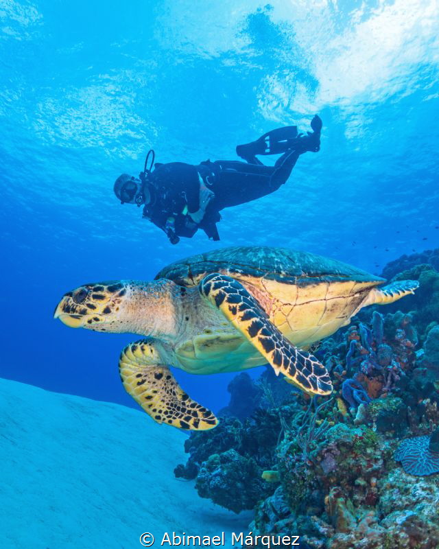 The Turtle and Evelio, C0zumel. by Abimael Márquez 