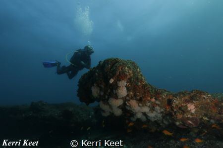 Diver admiring the view over Aliwal Shoal by Kerri Keet 