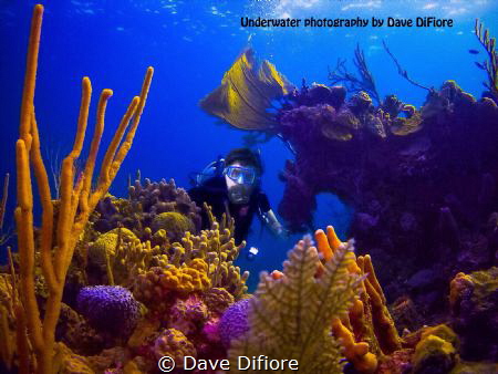 Me underwater by Dave Difiore 