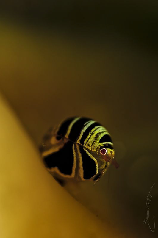 ~ What a Beautiful World ~ by Geo Cloete 