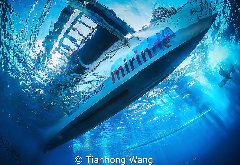 DREAM BOAT by Tianhong Wang 