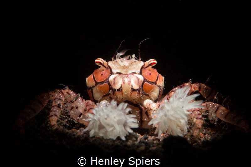 Underwater Cheerleader by Henley Spiers 
