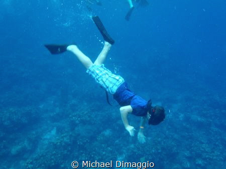 A fun day looking for conch by Michael Dimaggio 