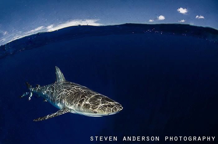 Reflections of a wave runner! by Steven Anderson 