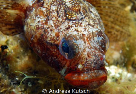 look at me by Andreas Kutsch 