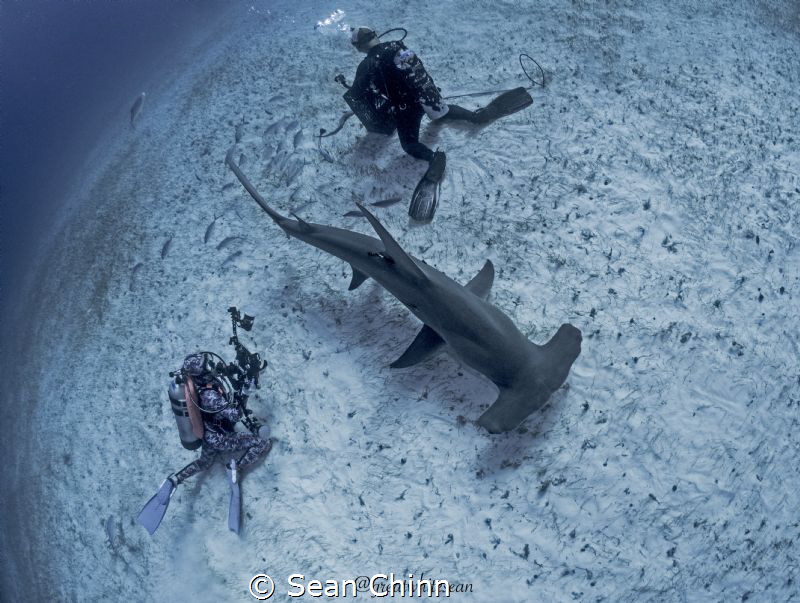 Excuse me coming through by Sean Chinn 