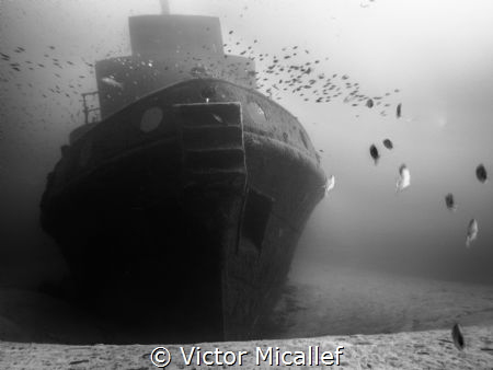 Tugboat Rozi was scuttled at Cirkewwa, an already popular... by Victor Micallef 