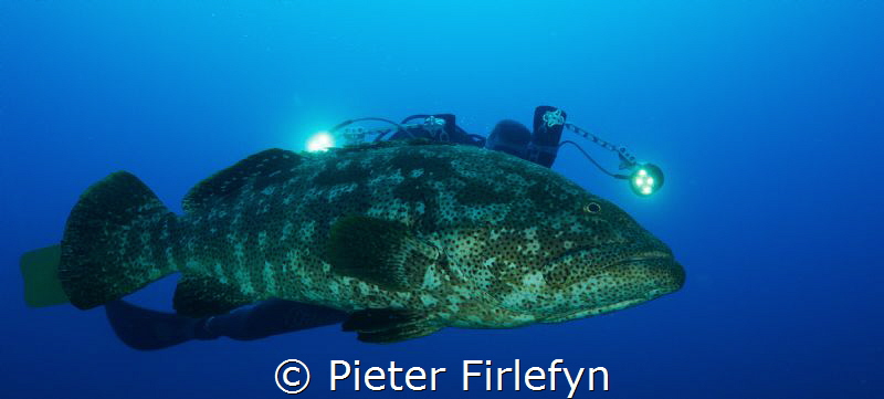 Where is the cameraman by Pieter Firlefyn 