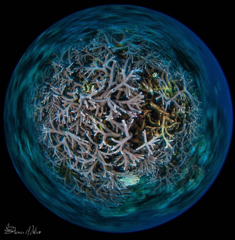 Big round World.  1/13th second shutter spin. F-22 at 8mm... by Steven Miller 