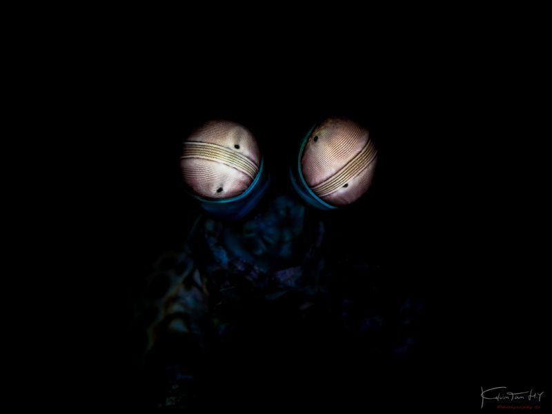 The eyes by Kelvin H.y. Tan 