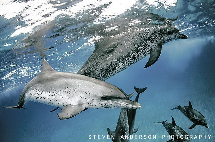 There's no better way to spend a early morning than with ... by Steven Anderson 