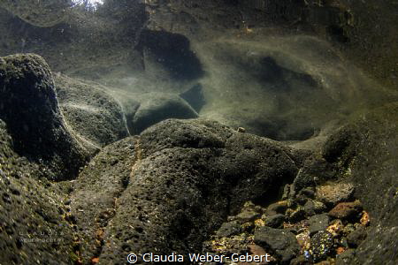 illusion.........

rockpool refelctions by Claudia Weber-Gebert 