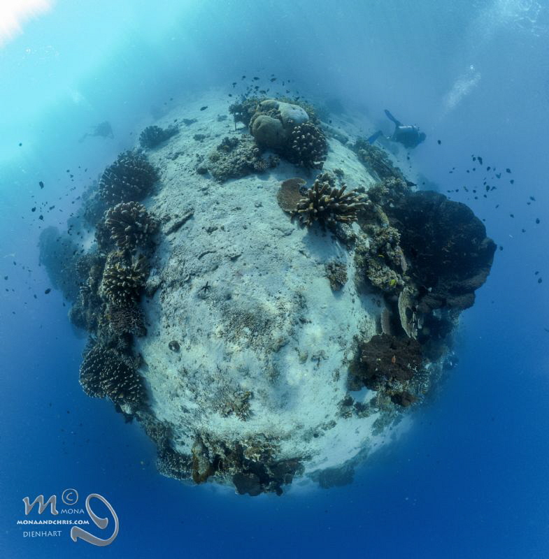 Underwater Planet
This little planet is a stitch of 8 im... by Mona Dienhart 