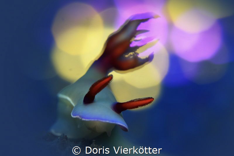 Bubble nudi by Doris Vierkötter 