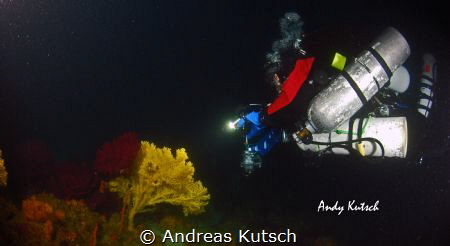 Tec Diver checking out a gorgonia by Andreas Kutsch 