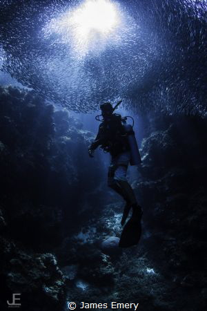Sardine Run in the Philippines surround diver.
Natural l... by James Emery 