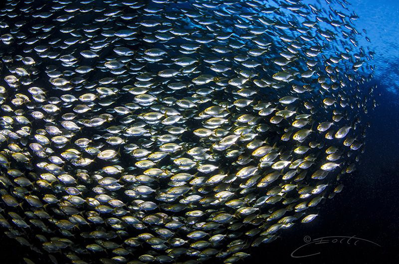 ~ Hope Spot ~ by Geo Cloete 