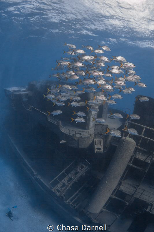 "Levels"
The Kittiwake, a playground for divers and fish... by Chase Darnell 