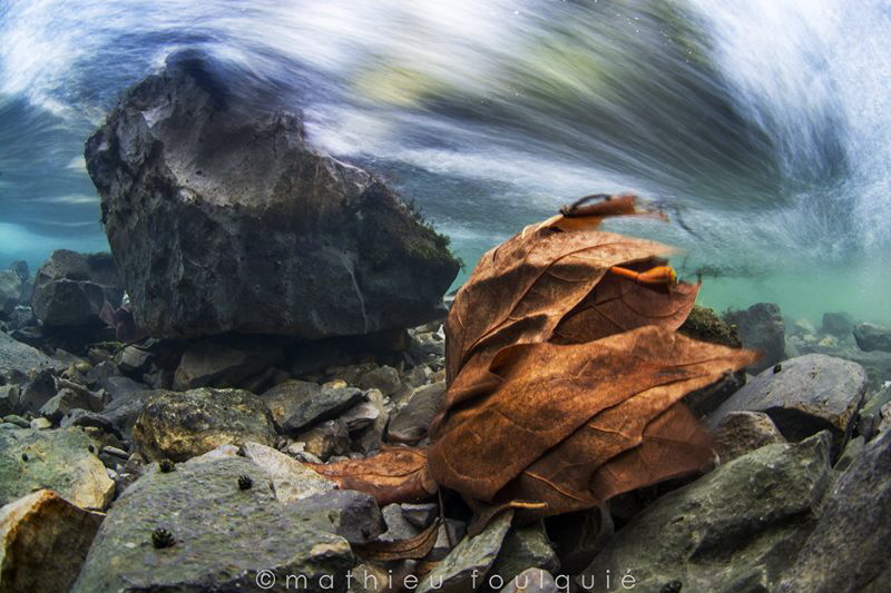 currents (Lez river, France) by Mathieu Foulquié 