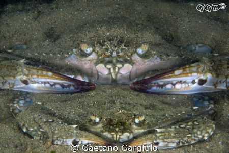 Love is in sand... by Gaetano Gargiulo 