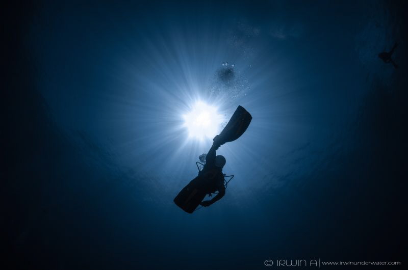 K I C K - I T
Shark Point
Lombok (Gili), Indonesia. May... by Irwin Ang 