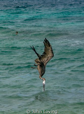 perfect timing by John Loving 