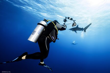 Someone
Location :Red Sea Daedalus Reef Egypt
Canon 5ds... by Yung Sen Wu 