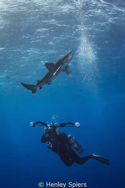 Photographer & Shark by Henley Spiers 