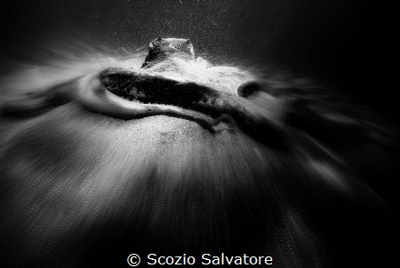 octopus by Scozio Salvatore 