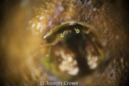 shot with rrm by Joseph Crowe 