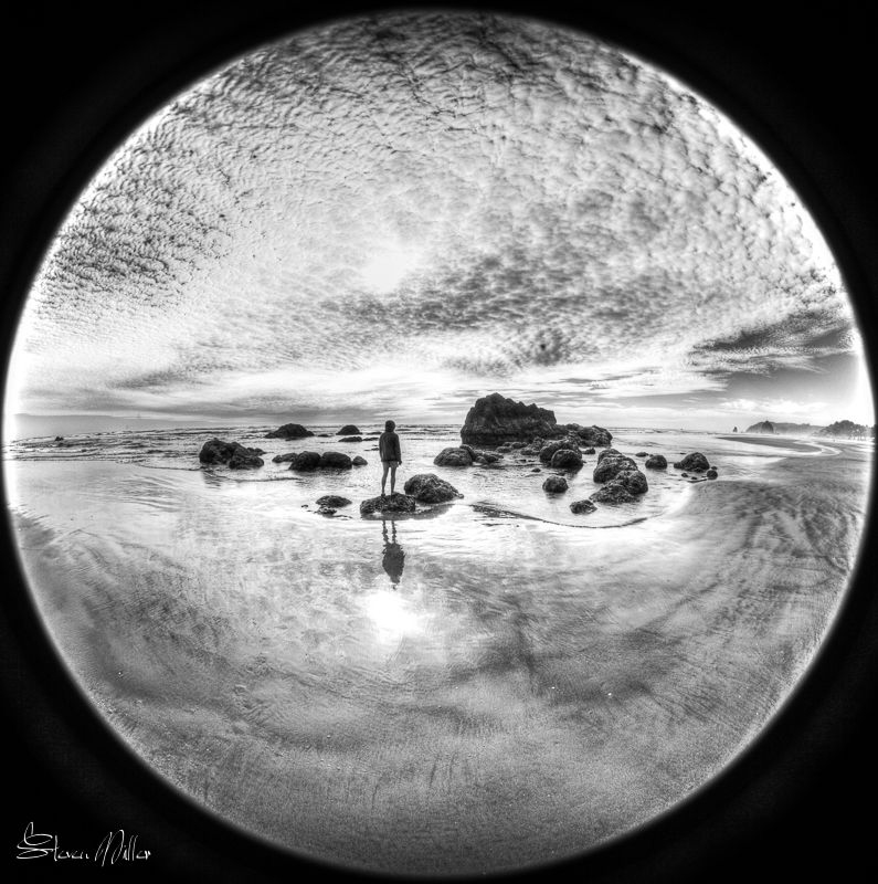 Looking for tidal pools to shoot didn't work out for me, ... by Steven Miller 