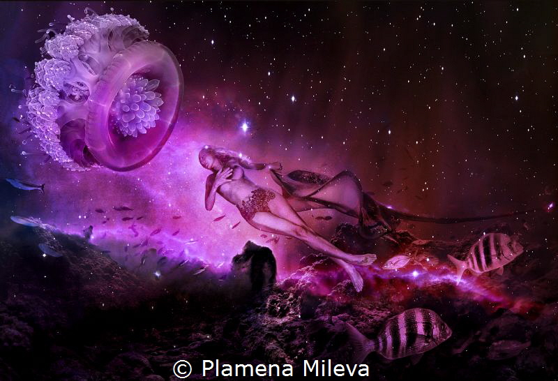 ORBITAL MARITIME by Plamena Mileva 