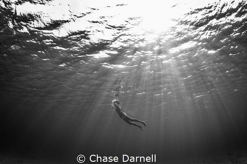 "See You Soon"
Though we must come up for air, we also k... by Chase Darnell 