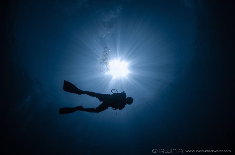 F R E E D O M
Shark Point
Lombok (Gili), Indonesia. May... by Irwin Ang 