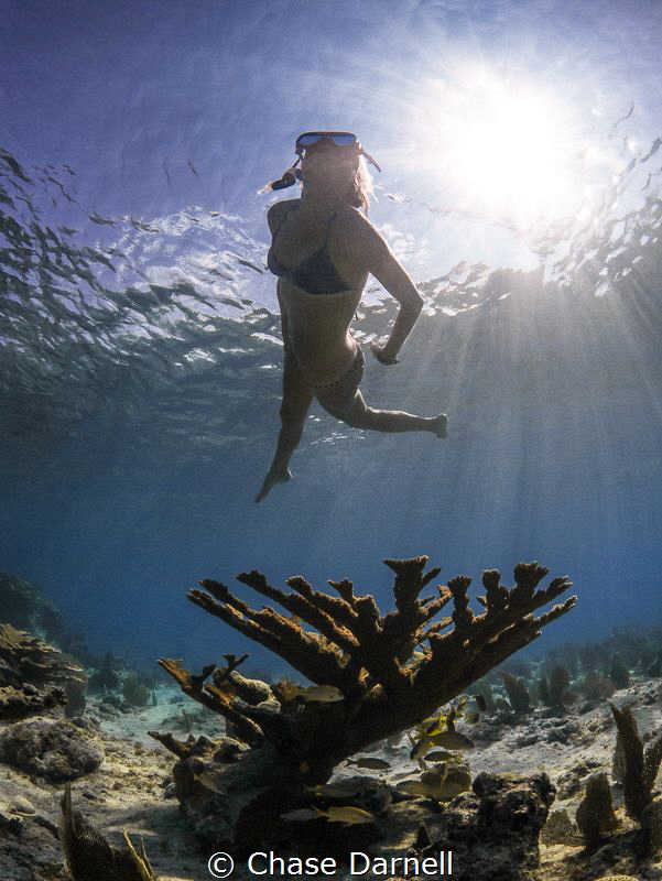 "Sun Shimmer"
Shallow water searching outside of Smith's... by Chase Darnell 