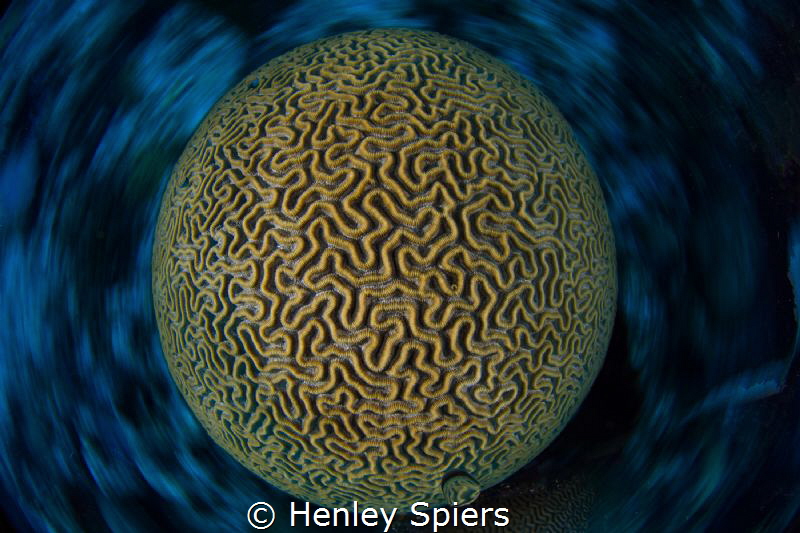 Let's go for a spin. by Henley Spiers 