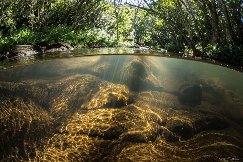 Light patterns on a stream bed of lava rock by Tony Cherbas 