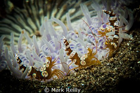 Mates standing around by Mark Reilly 