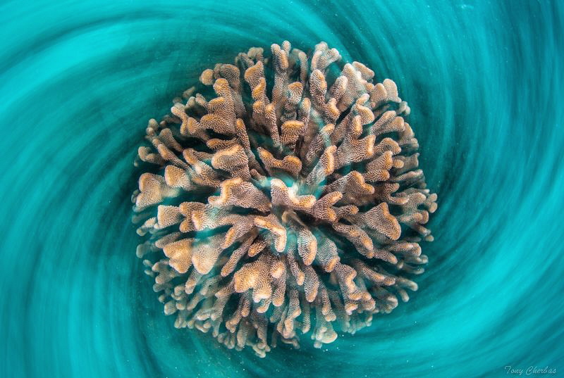 "...a twist in the fabric of space where time becomes a l... by Tony Cherbas 