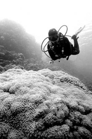 Black... White... Red Sea! by Erich Reboucas 