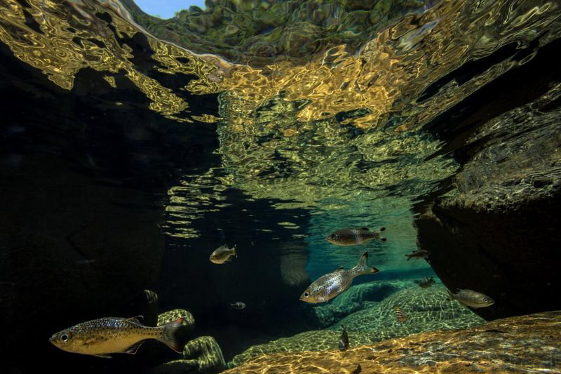 I did a kayaking trip around the southern half of New Cal... by Duncan Murrell 