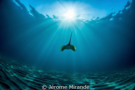 Flying by Jérome Mirande 