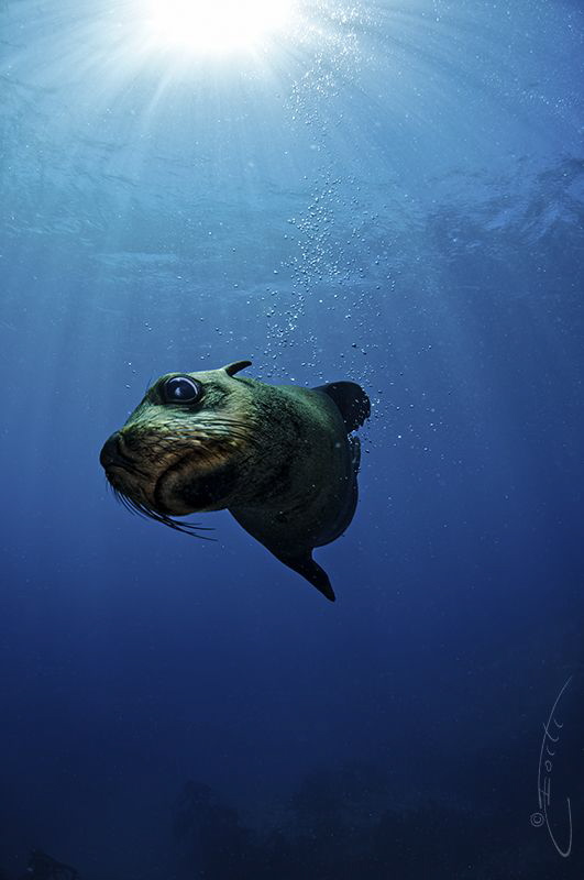 ~ Under the Spotlight ~ by Geo Cloete 