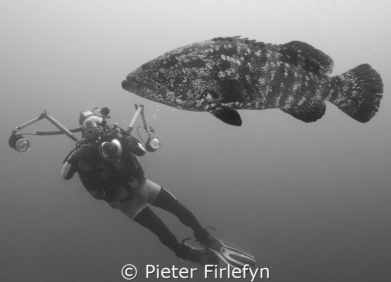 Say cheese! by Pieter Firlefyn 