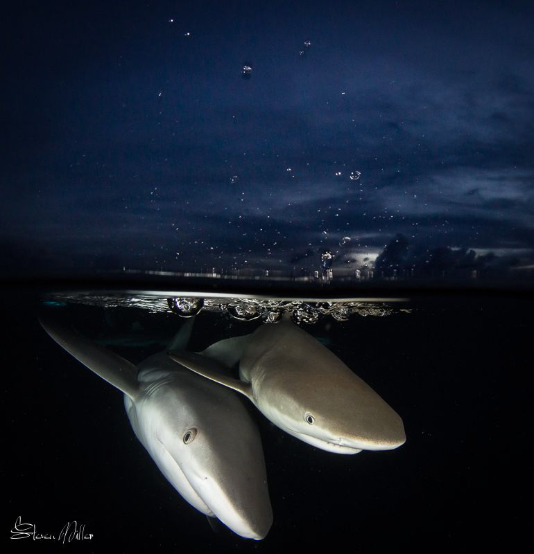 Bubble bath by Steven Miller 