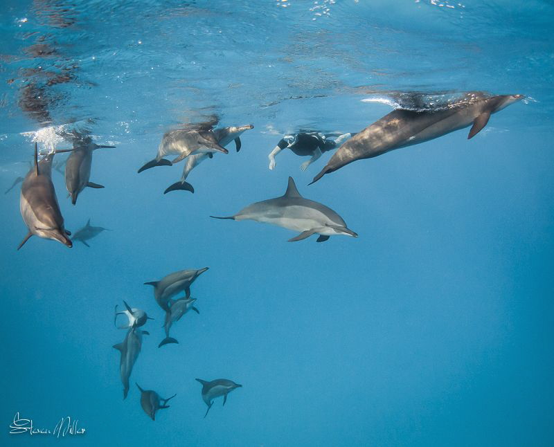 ..wishing for a camera by Steven Miller 