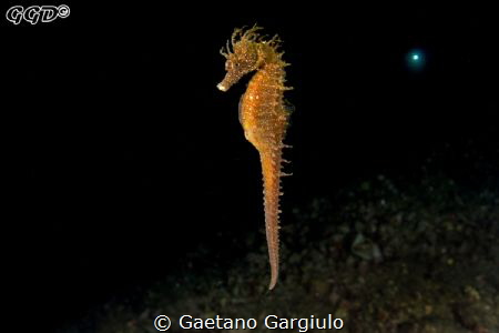 Forget the pier lights... lets go deep!!! by Gaetano Gargiulo 