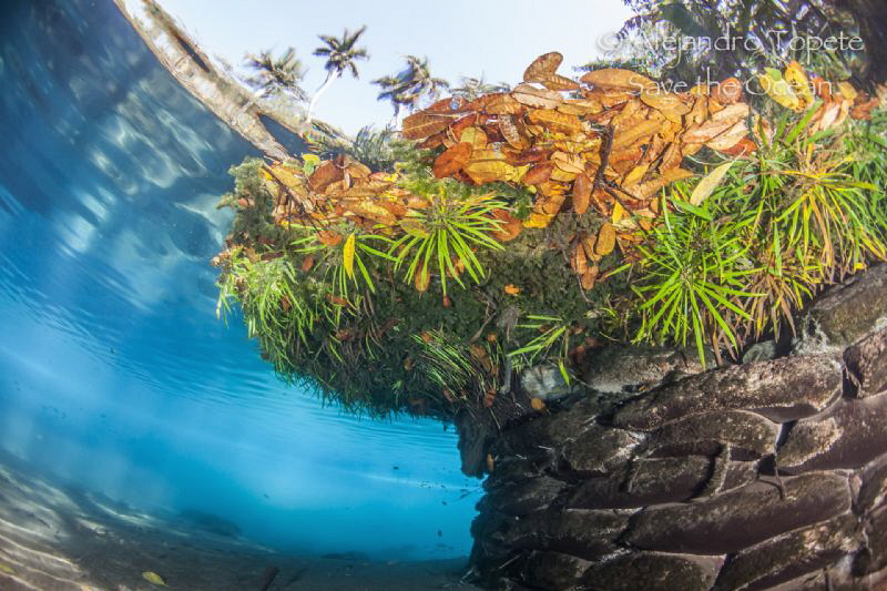 colors of de river, Las Estacas México by Alejandro Topete 